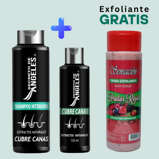 COMBO - SHAMPOO ANGELES + 2 OBSEQUIOS
